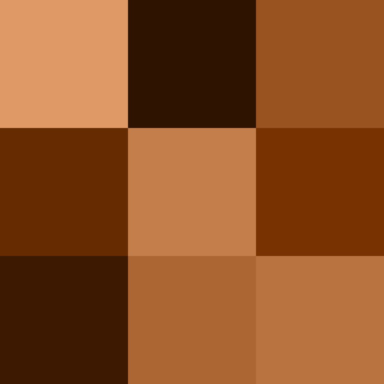 Color icon brown svg