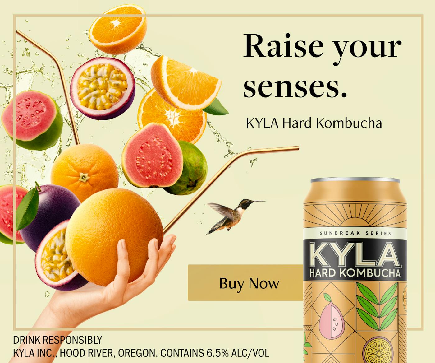 Fly Into Flavor 336x280 Buy Now