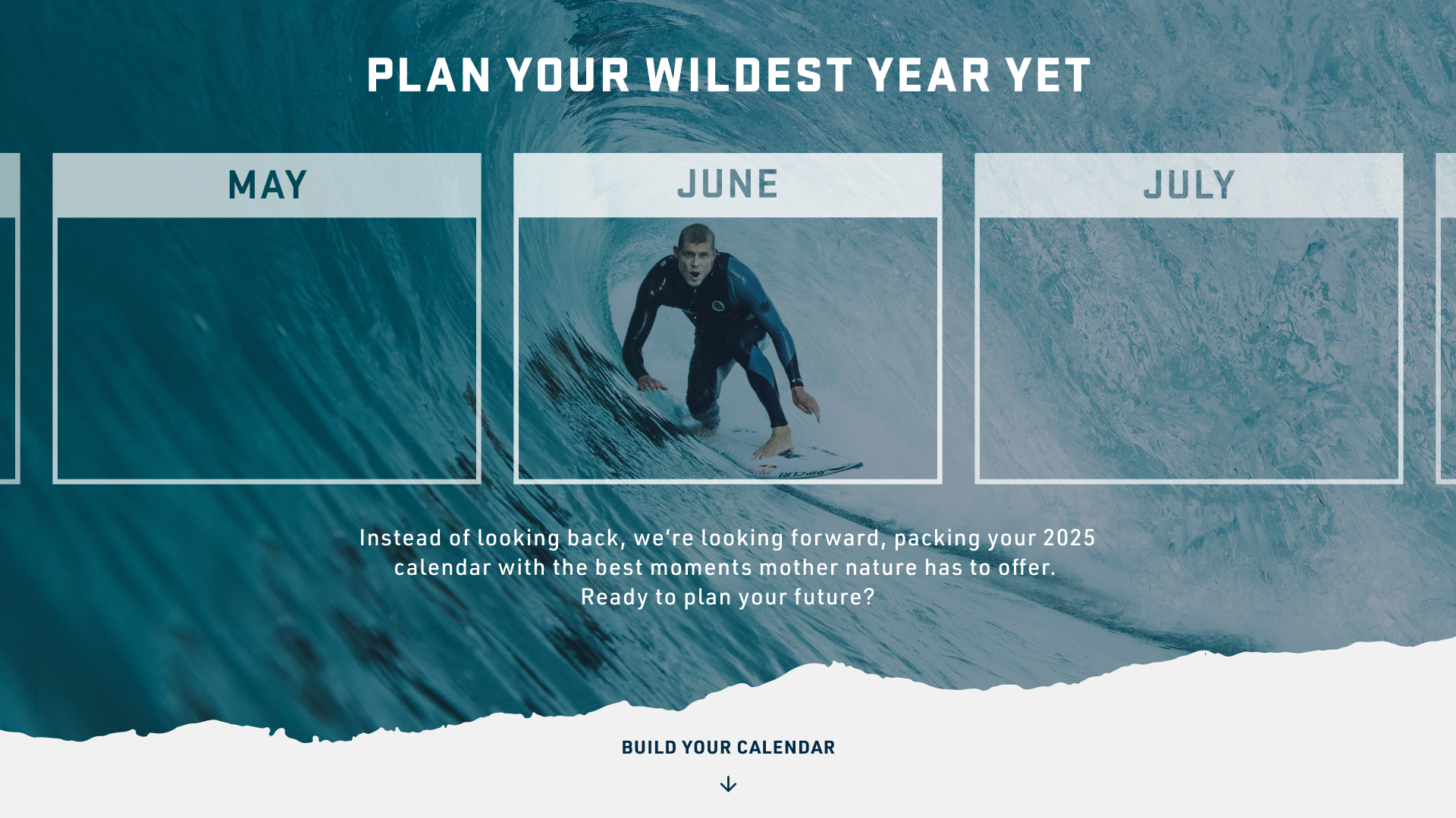 Plan Your Wildest Year Yet 2025